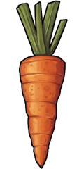 Carrot