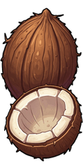 Coconut