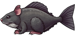 River Rat