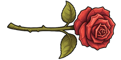 Wild Rose