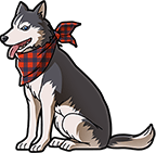 スカーフドッグ